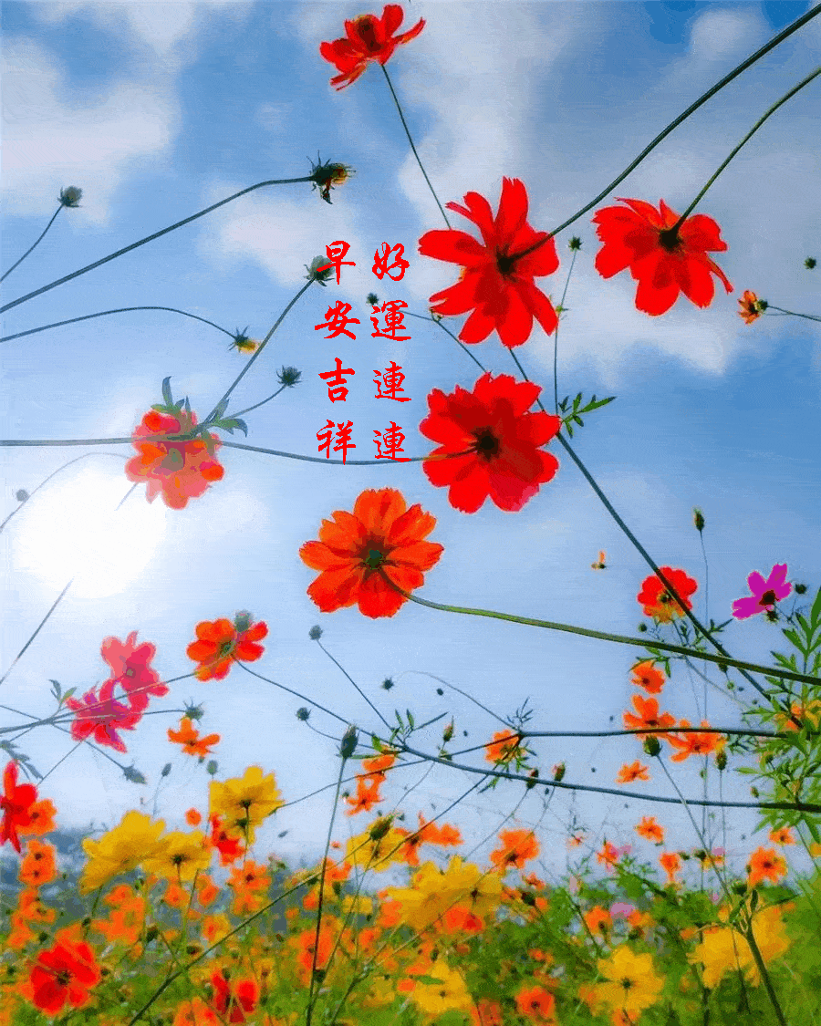202136周末愉快《早安心语》∮