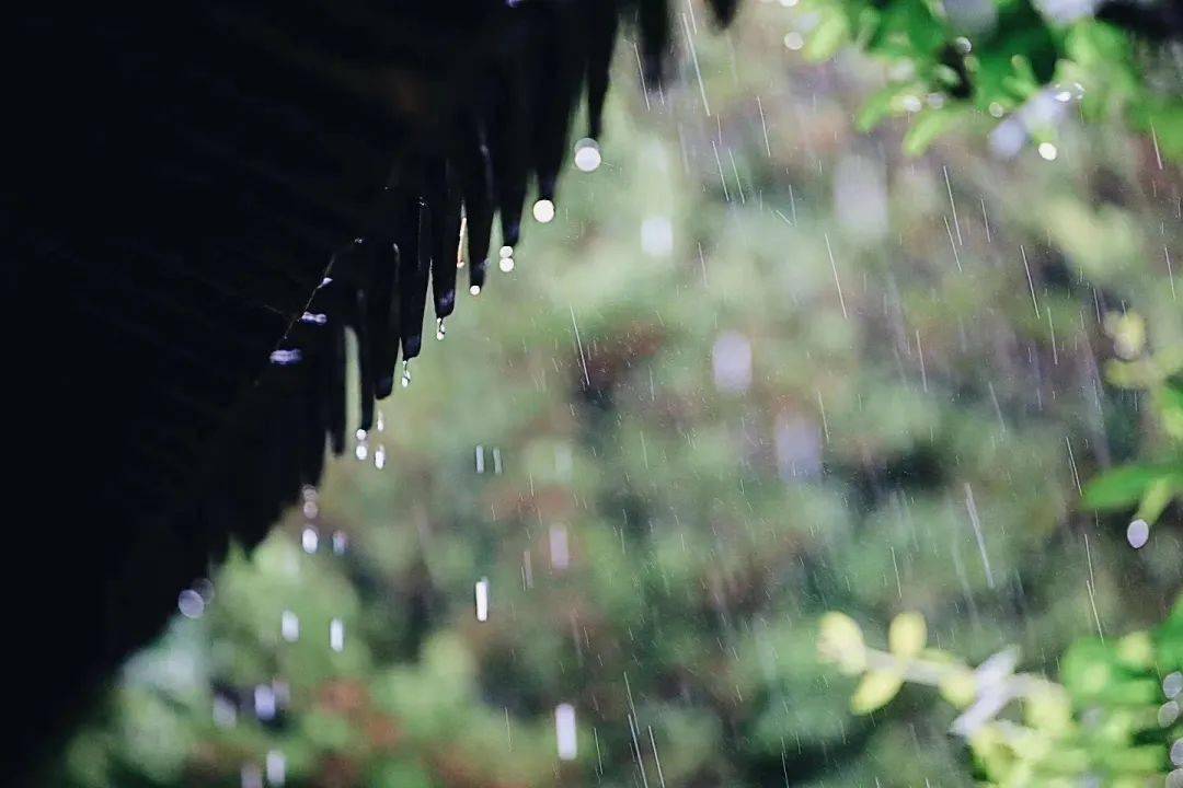 无论雨天晴天都是迷人的春天