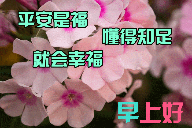 最漂亮早上好动态表情图片大全,早晨好动图美图大全