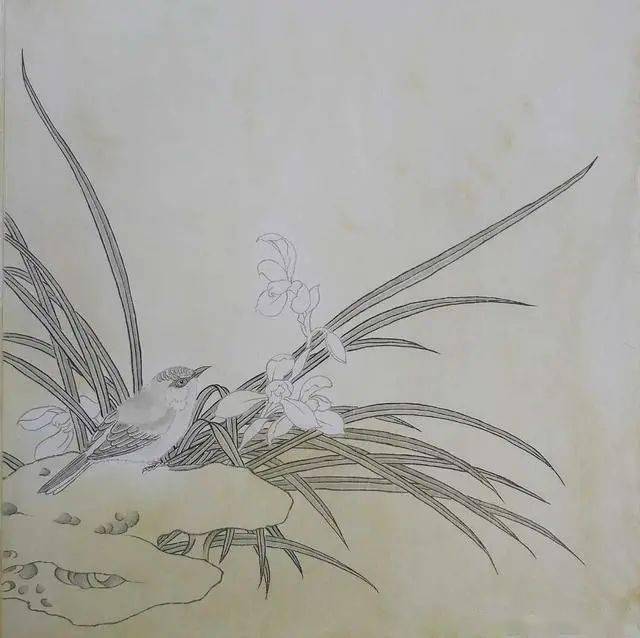 画者笔记丨工笔画《兰香》绘制过程记录