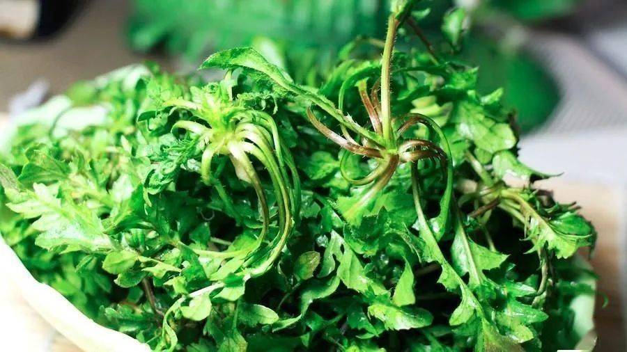 它不仅是"降糖"的好助手,还是野菜当中的上品!