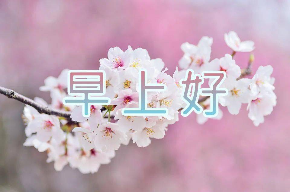 早安2021最新动画图片,2021早上好最新动态图 朋友圈早上好的祝福语录美句,2021早安问候祝福动画表情包图片