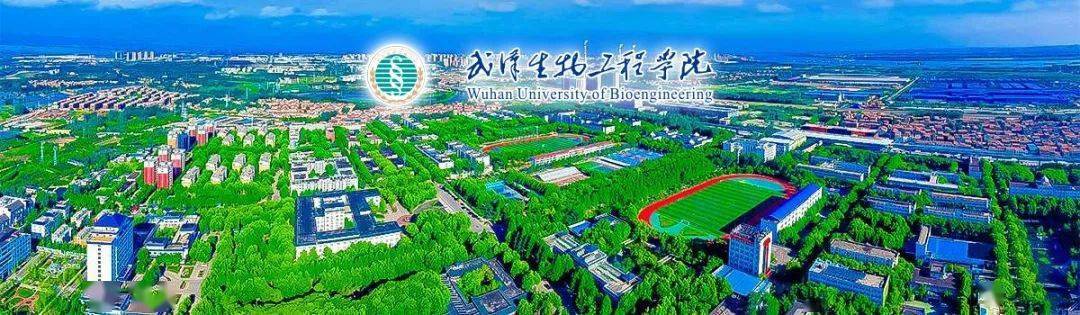 提供百平米住房 待遇丰厚 武汉生物工程学院2021年招聘简章_e-mail