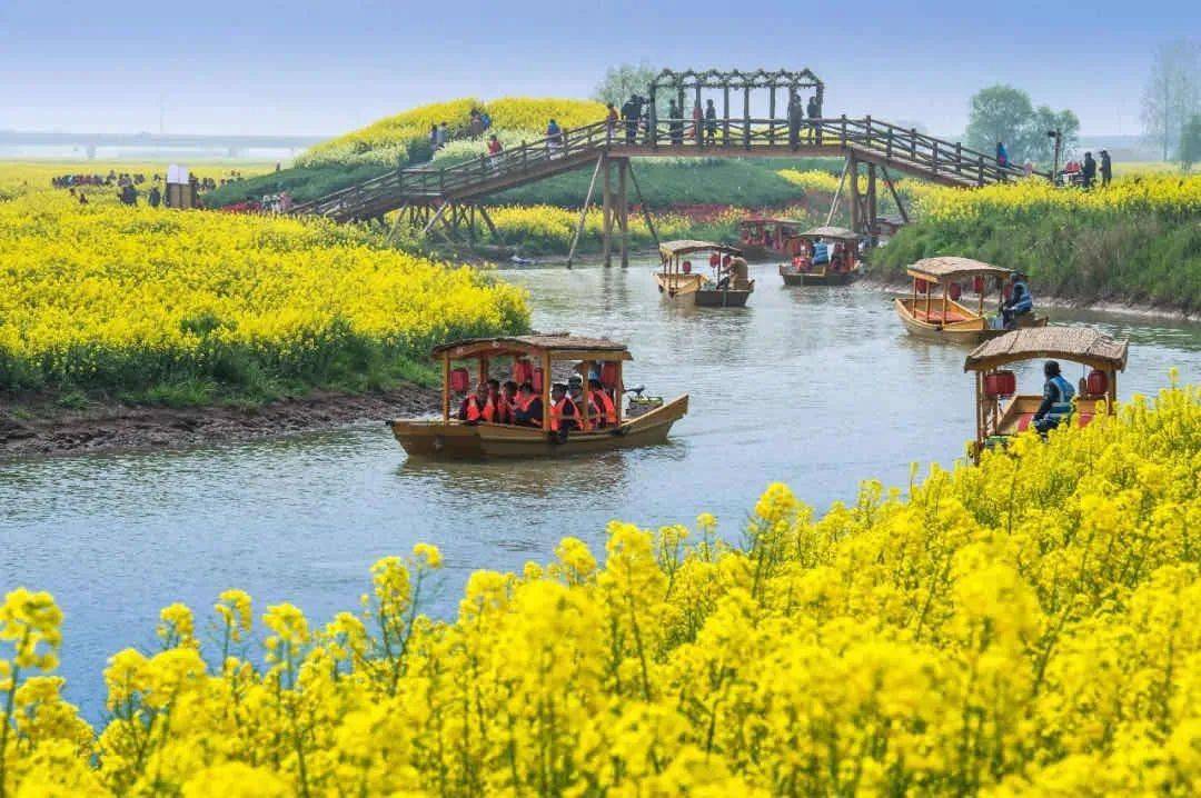 送福利 | 3月13日,高邮·湖上花海盛大开园!与你相约浪漫春日