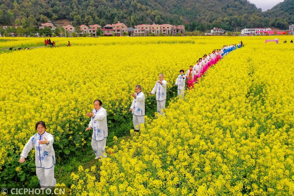 湖南省衡阳市衡阳县库宗桥镇华山村,太极爱好者在油菜花田里表演太极