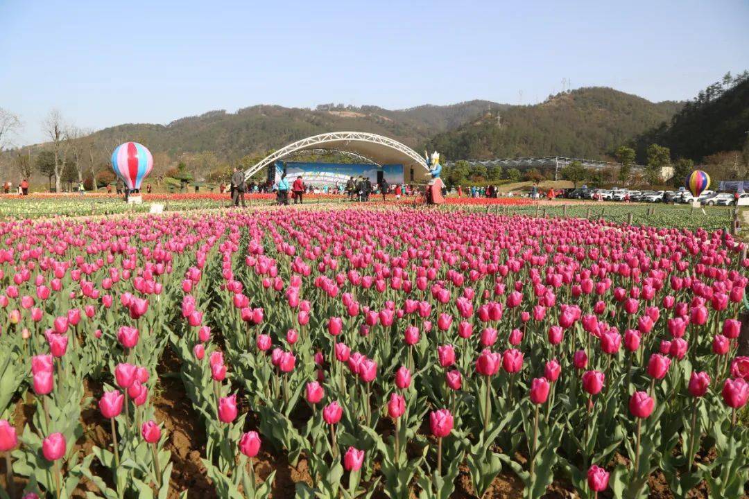 十堰观赏地推荐 茅箭区东沟景区,郧阳区安阳镇牡丹园,竹溪县水坪镇