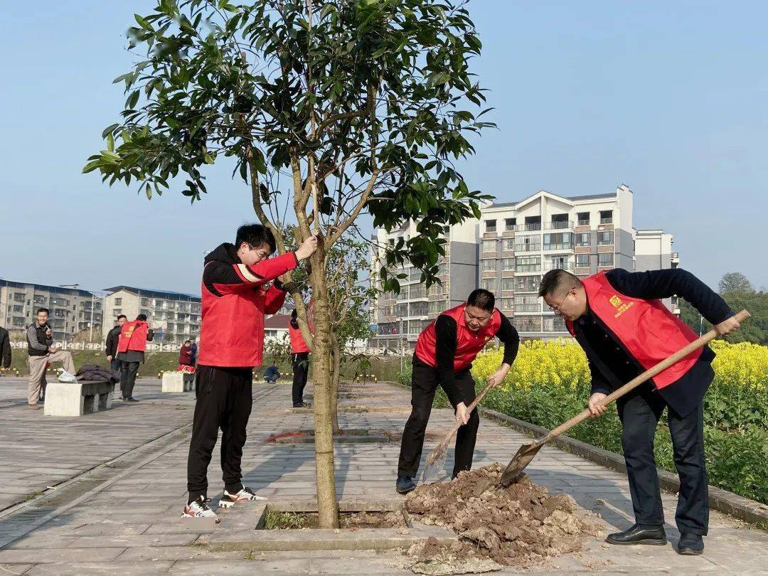 开展以"我爱我家,绿色同行"为主题的植绿护绿志愿服务活动,此次活动共