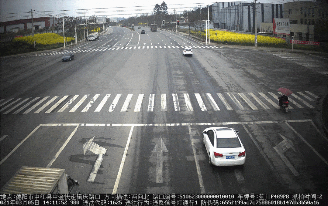 1079_679gif 动态图 动图