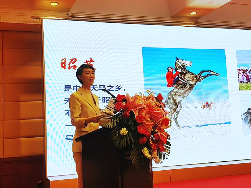 推介会现场,昭苏县副县长贺娇龙在介绍"天马节"相关情况.