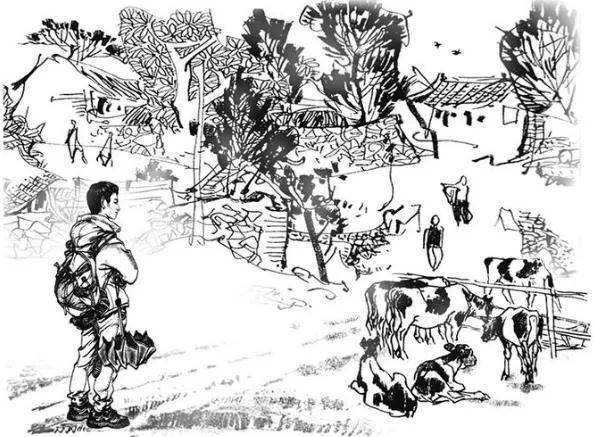 画说兵团 | 兵团是我梦想起飞的地方