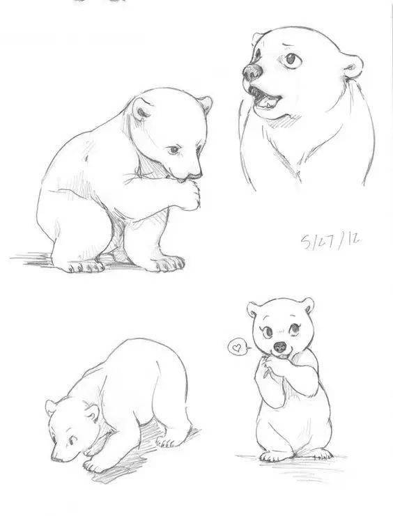 北极熊的画法