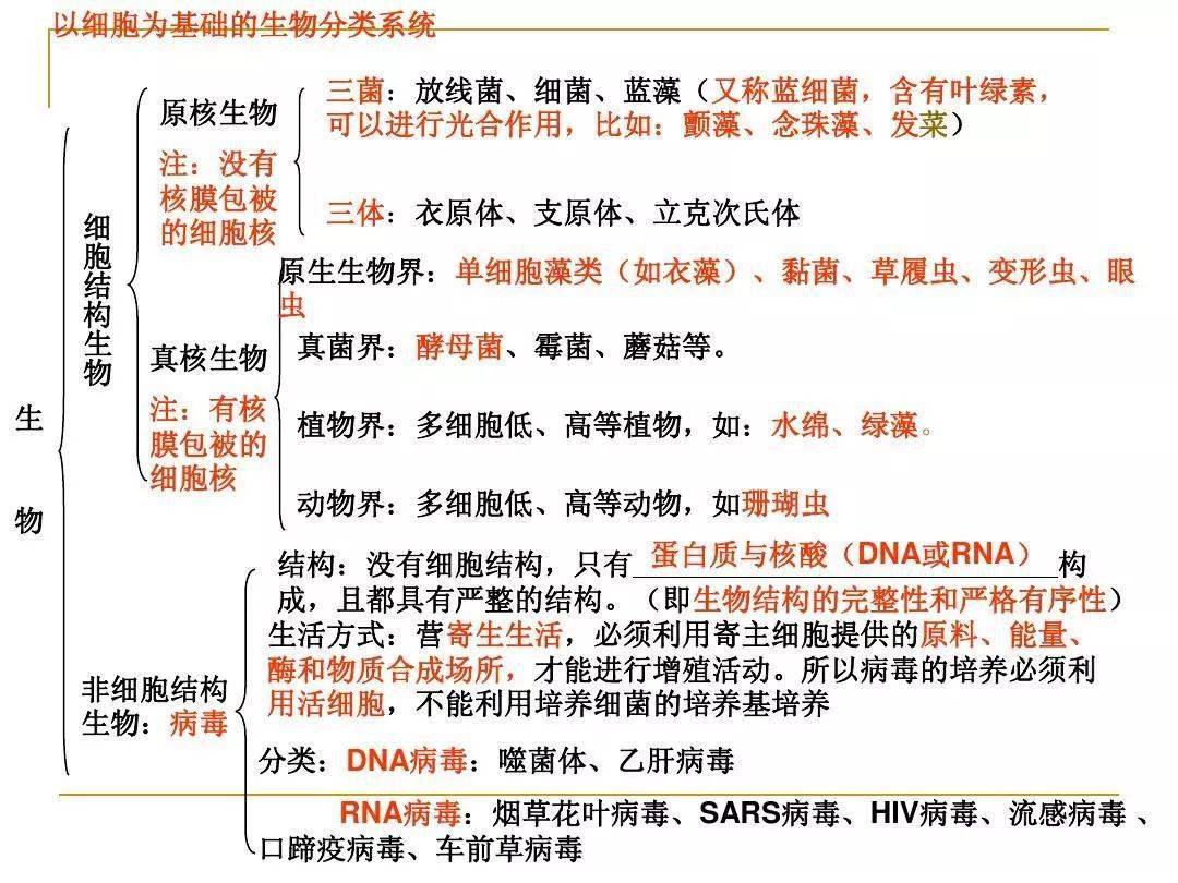 高中生物:细胞