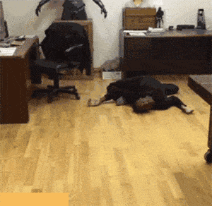 搞笑gif女明星在拍摄节目被鲨鱼咬伤