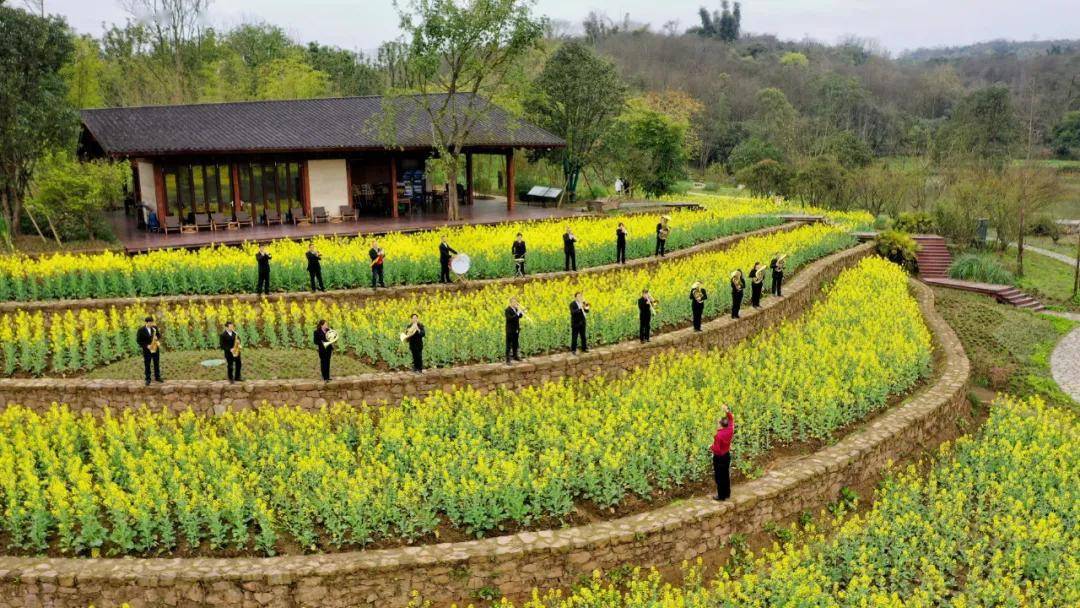 图:南岸区迎龙镇北斗村农民管乐队正在广阳岛油菜花海中演奏.