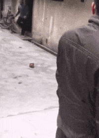 搞笑gif:好痛苦 被女网友骗去传销 我不要走 哈哈