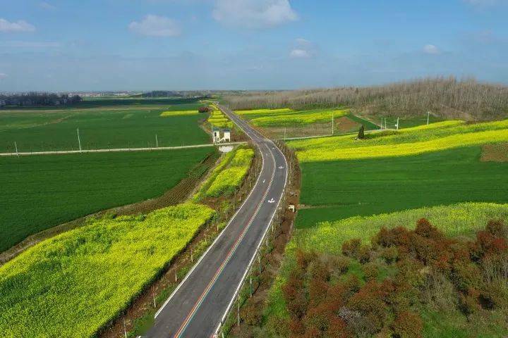 通往春天的樊城一号农村公路,沿线的梅花,油菜花,桃花以及山间的野花