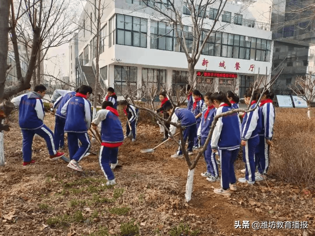 昌乐县新城中学阳春三月万象新劳动教育正当时
