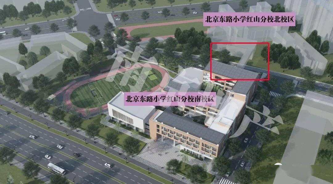 我查了一下新玄武的教育布局图,从一开始北京东路小学红山分校就是由