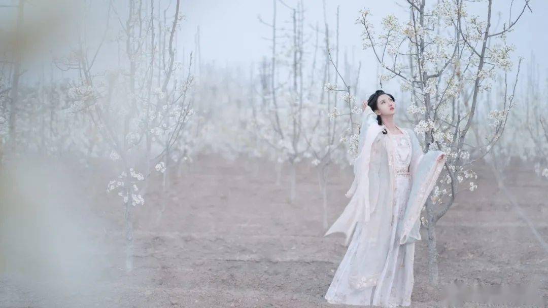 3月24日杏花微雨,你愿和我一起看花听风,邂逅春光吗?