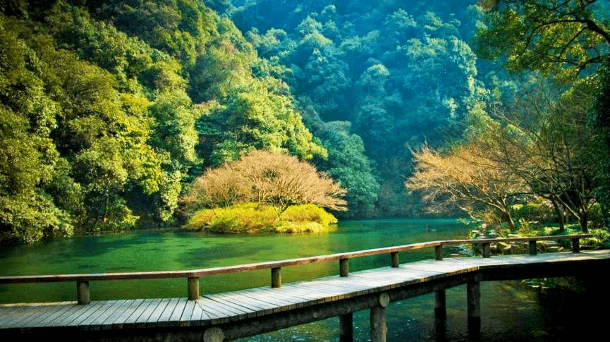 入春后杭州就美成天堂西湖的超小众玩法只有本地人才知道避开人潮私享