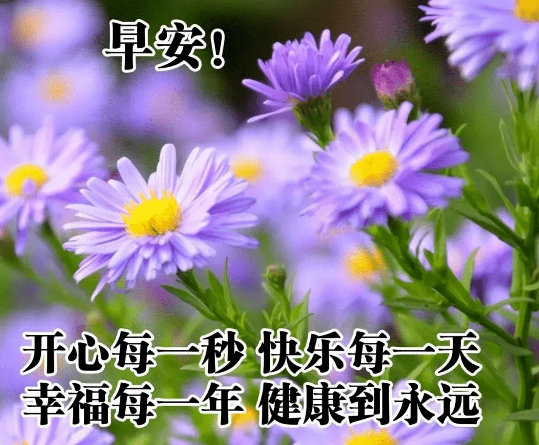 早安吉祥:在经历中求快乐,在真情中求幸福,早安,朋友