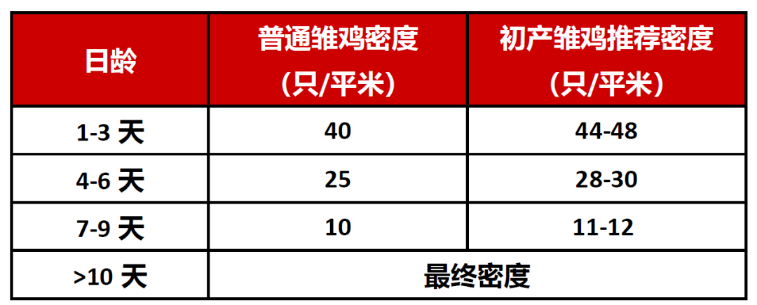 科宝:初产雏鸡的育雏管理要点_温度