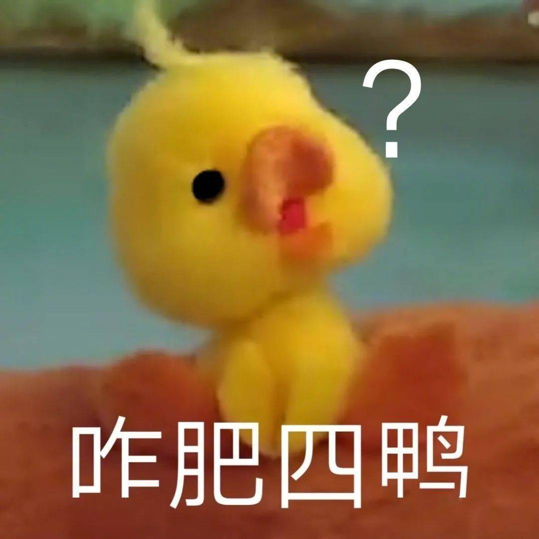 沙雕猫表情包沙雕鸭鸭表情包