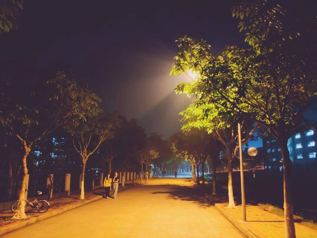 来看广财人的夜晚!