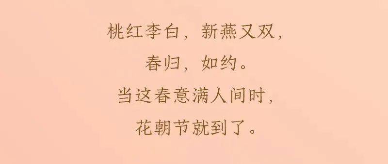 故宫花事花朝节春归如约