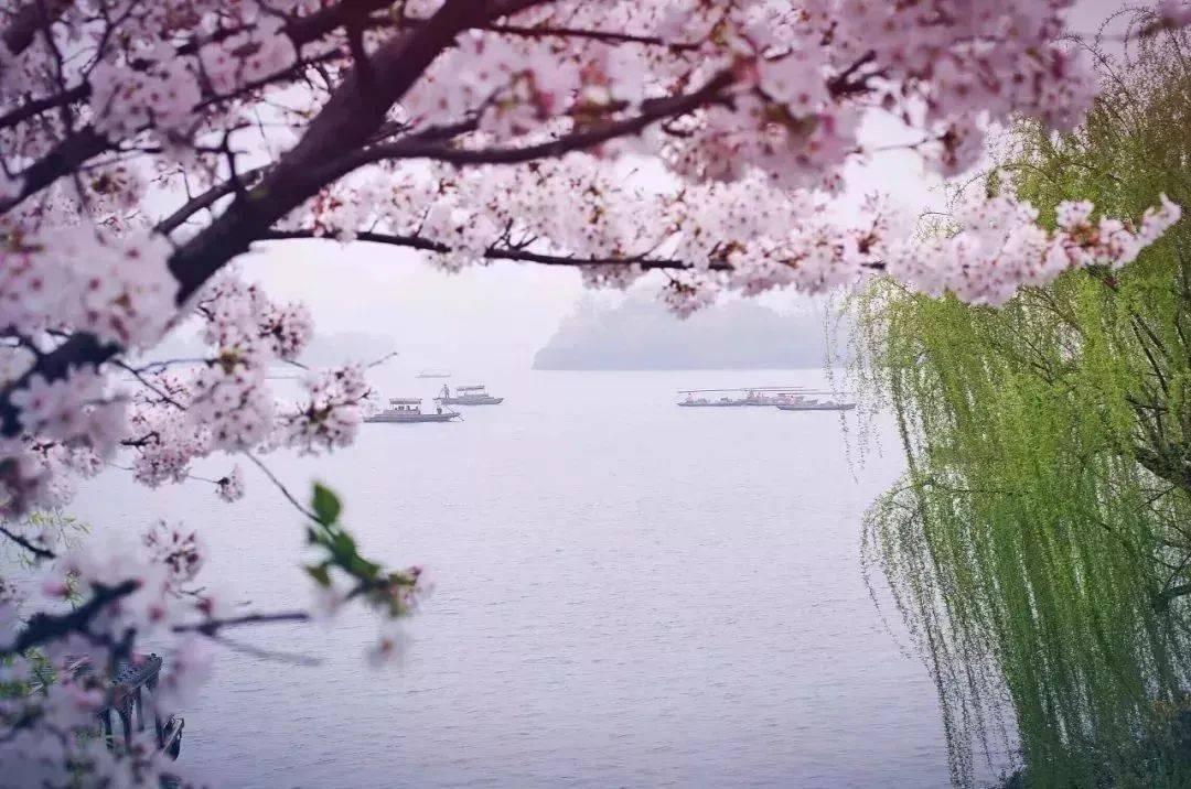 最美不过江南春