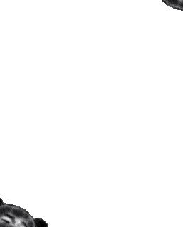 沙雕熊猫头动态表情包