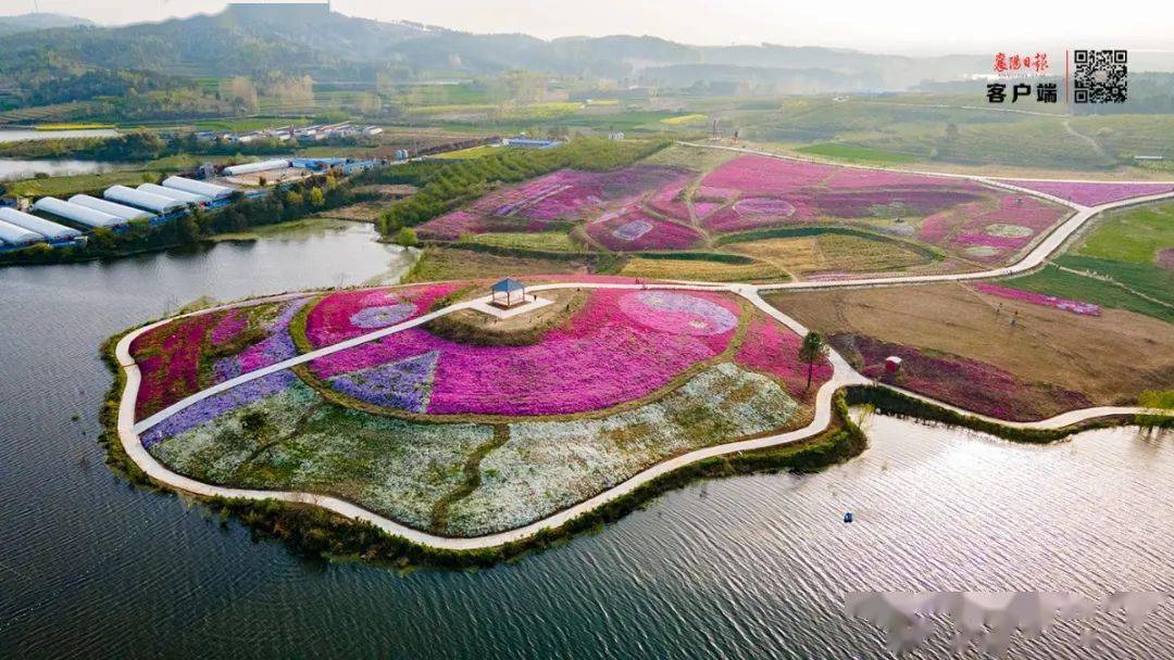 枣阳市鹿头镇银龙湾 花海