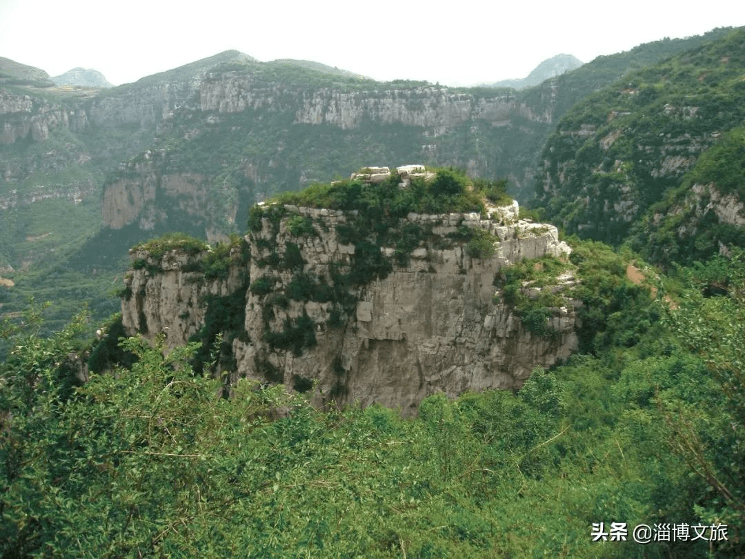 淄博齐山的这个春天,是醉的.