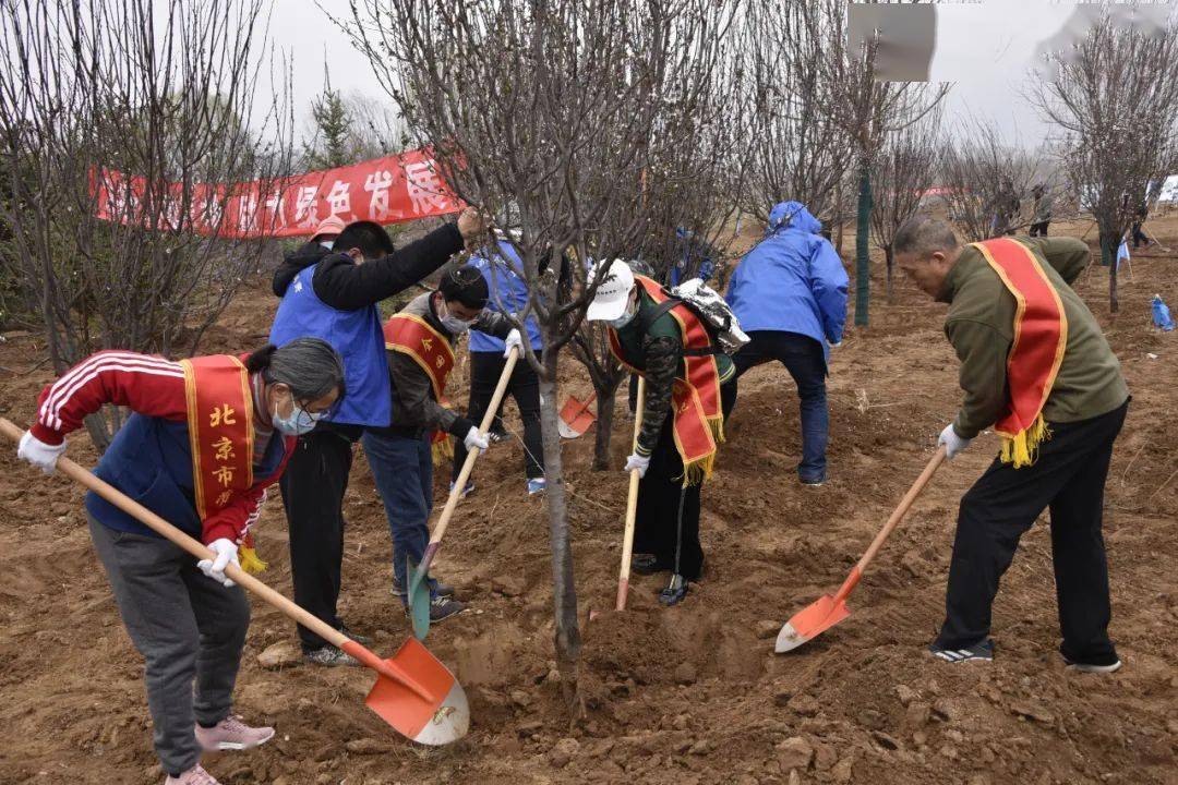 延庆区总工会参加义务植树活动