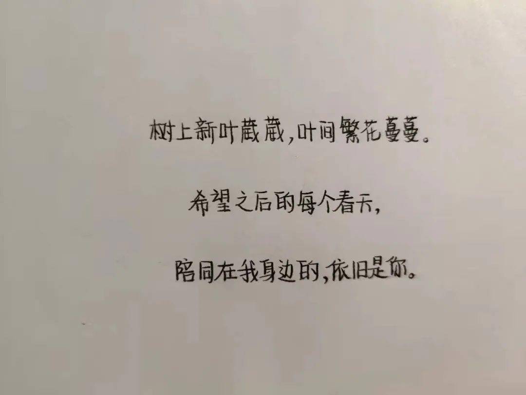 "聊寄情思,见字如面"主题三行情书活动优秀作品展示