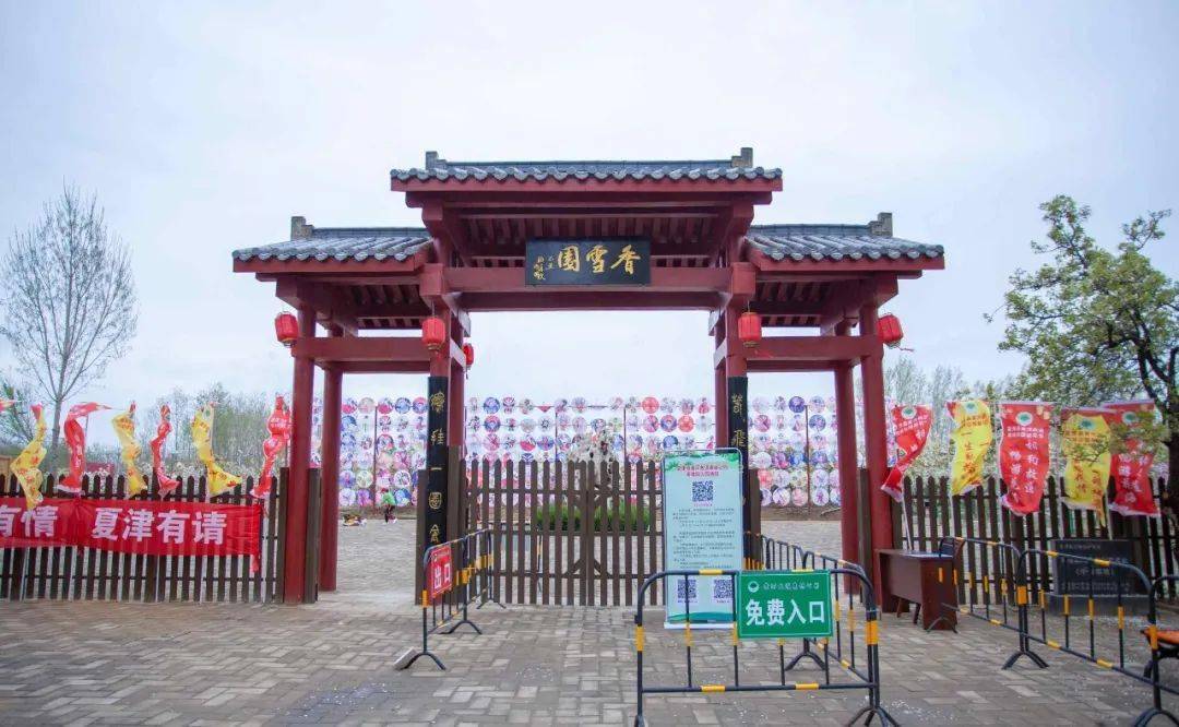 故道梨花胜雪 共赴夏津之约丨夏津县第十四届黄河故道