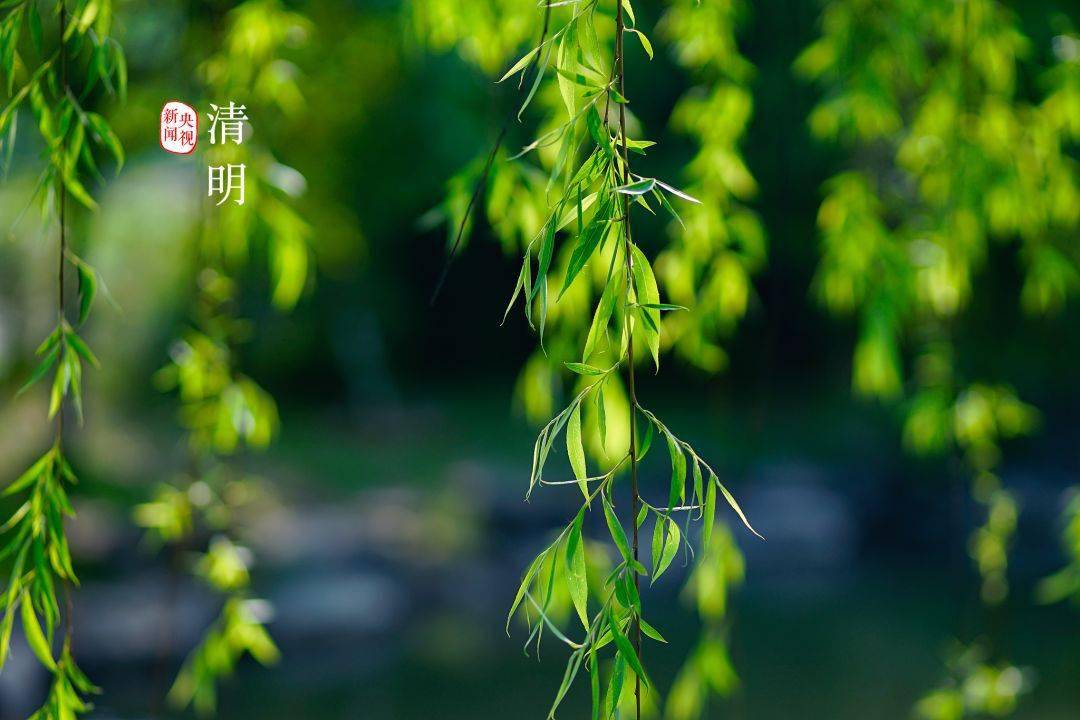 清明_时节