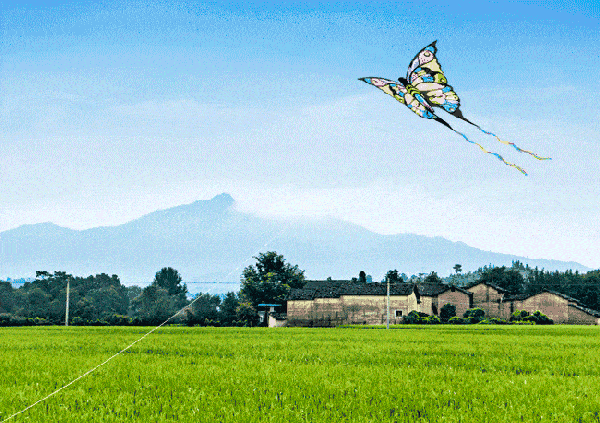 研究这几项文体活动专属于清明节