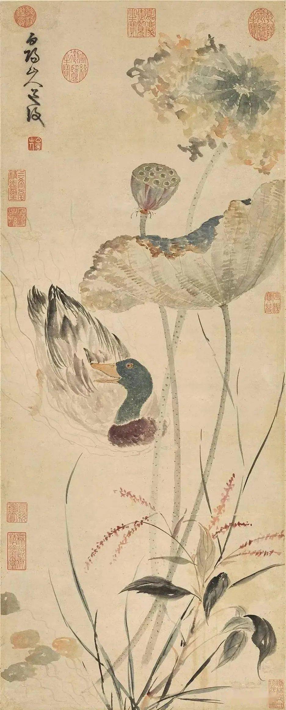 陈淳 秋塘花鸭