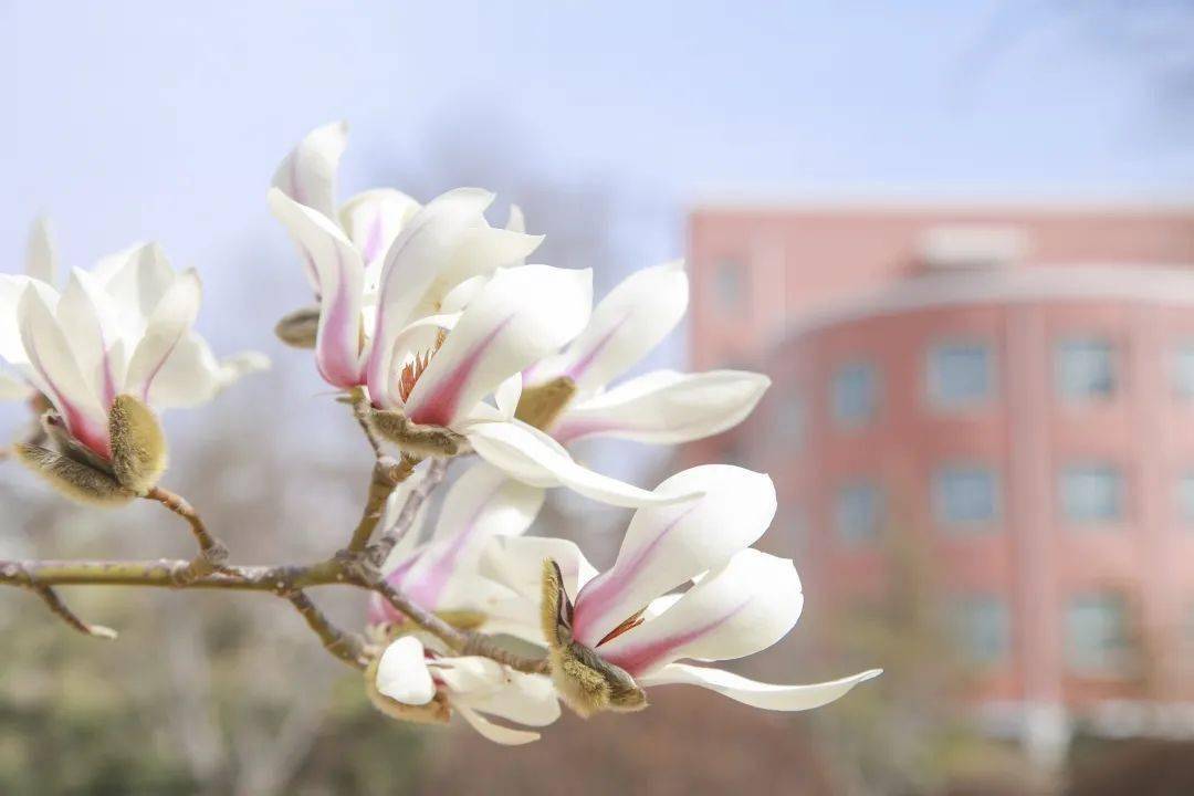 兰州博文科技学院