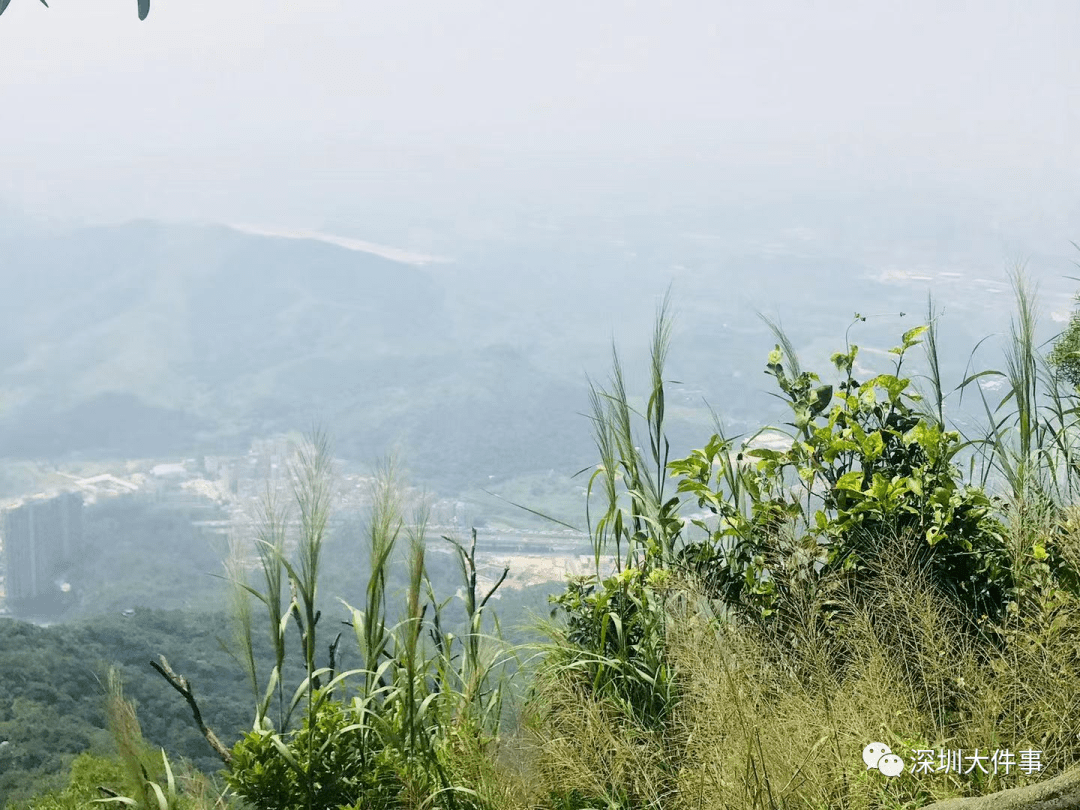 深圳一男子爬梧桐山时突然坠崖,多处受伤!救援视频曝光