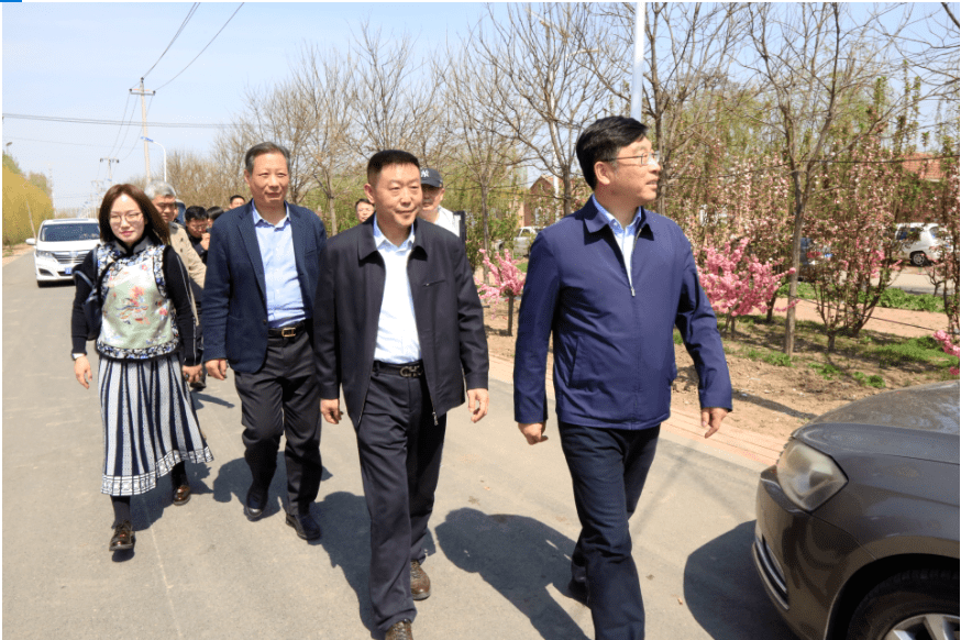 4月4日,西青区委副书记,区长白凤祥深入辛口镇,杨柳青镇,调研推动