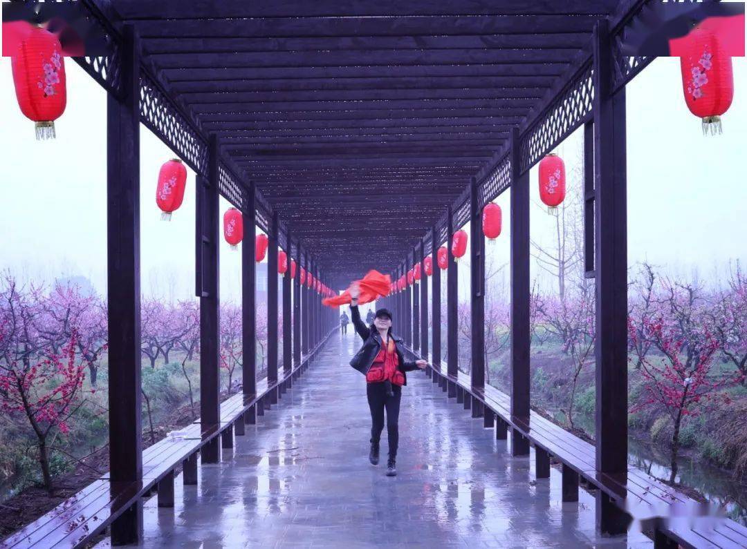 旅游活动这个春天与醉美桃花源相遇