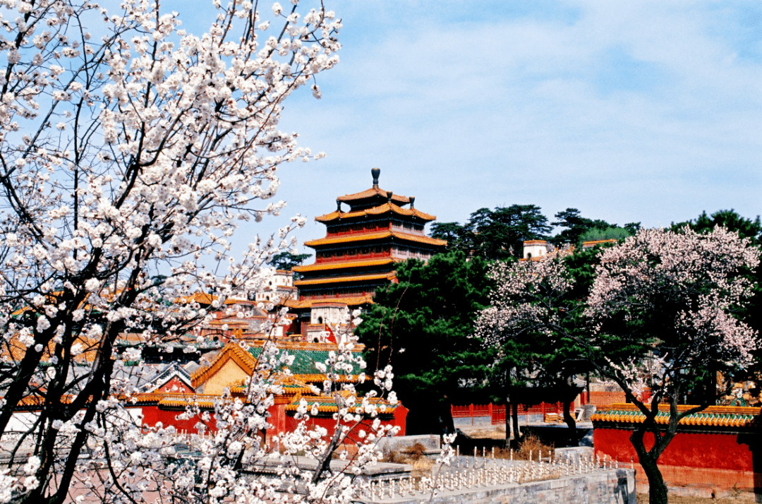 普宁寺景区(大乘之阁)