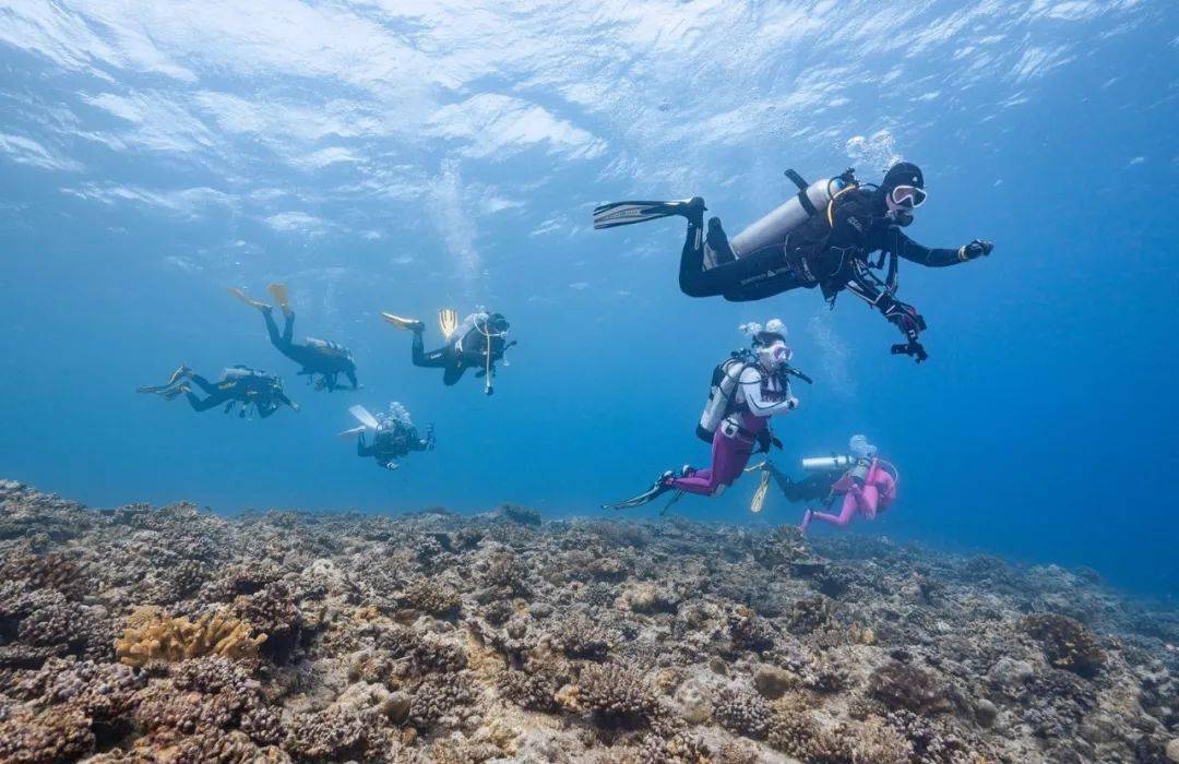 碧海上的世外桃源|最美时节去西沙群岛体验潜水终极玩法!