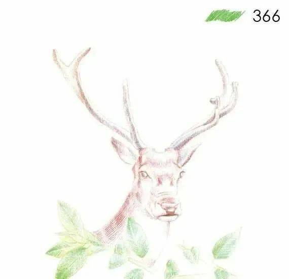 彩铅手绘| 灵动清新的驯鹿,彩色铅笔动物画教程