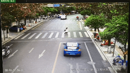 礼让车辆号牌:桂bua790