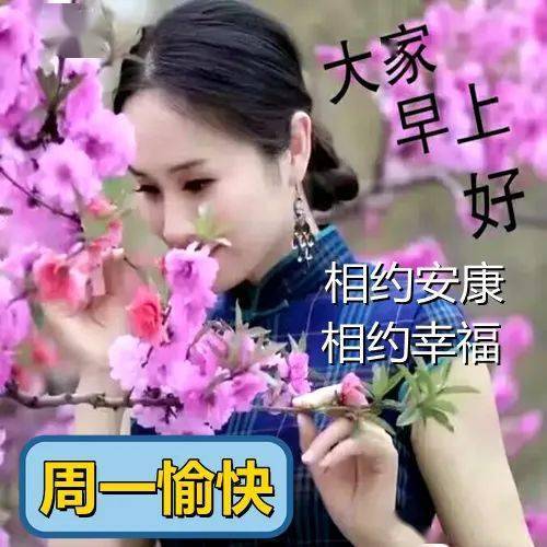 最新漂亮的周一早上好表情无论风和雨真情永不变朋友早安