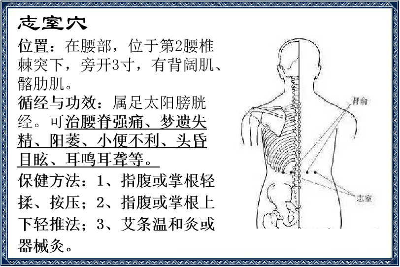 【穴位保健】健腰要穴