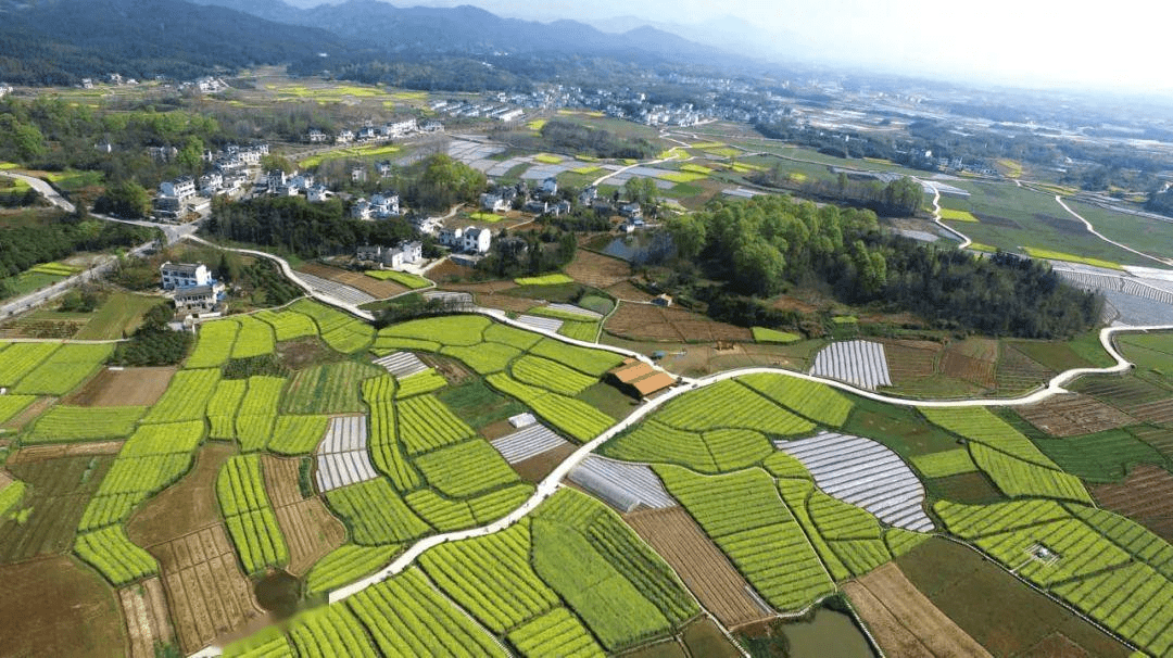 乡村旅游资源,拟开展"五村同创"项目,立足当地特色凸显水乡和田园风光